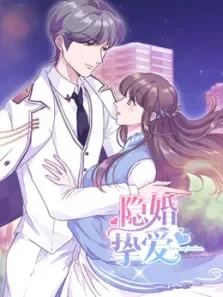 隐婚挚爱动漫海报