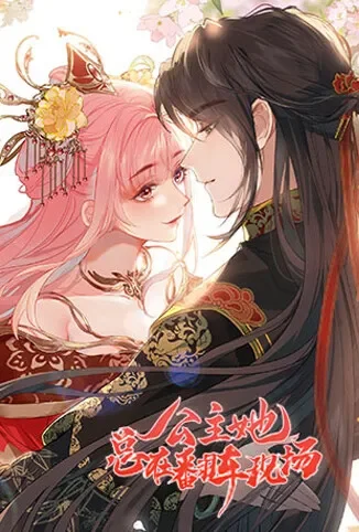 公主她总在翻车现场动漫海报