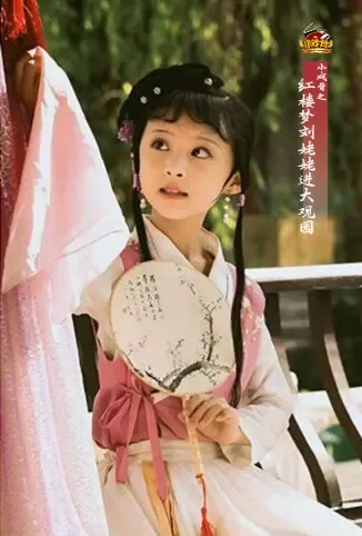 小戏骨之红楼梦刘姥姥进大观园动漫海报