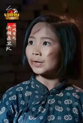 小戏骨之洪湖赤卫队动漫海报