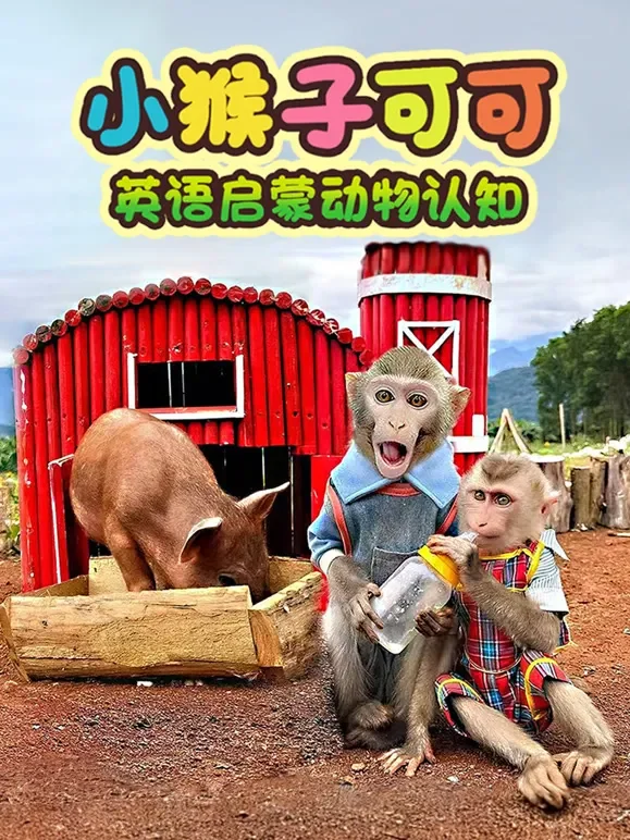 小猴子可可英语启蒙动物认知动漫海报
