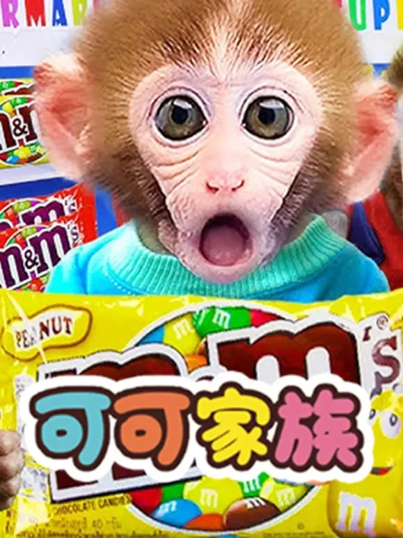 可可家族动漫海报