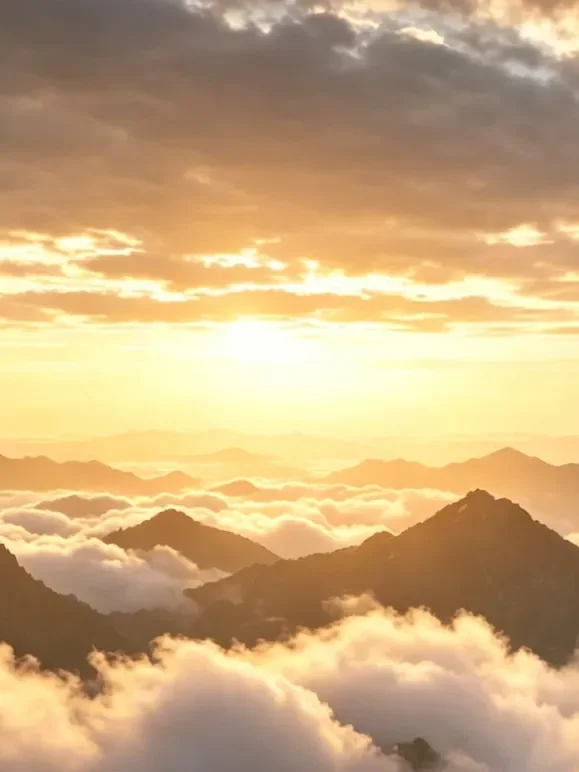 虎凤共守青山动漫海报