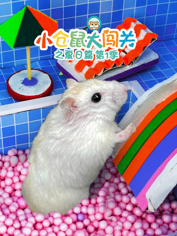 小仓鼠大闯关之夏日篇 第1季