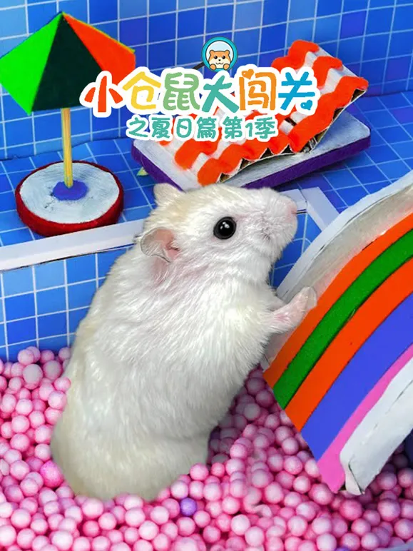小仓鼠大闯关之夏日篇 第1季动漫海报