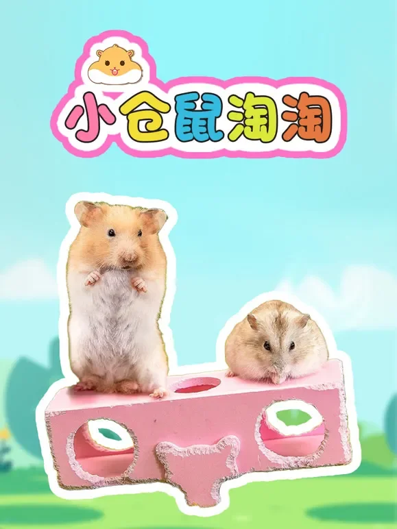 小仓鼠淘淘动漫海报