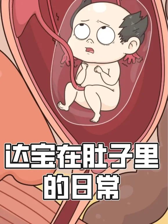 达宝在肚子里的日常  动态漫画动漫海报
