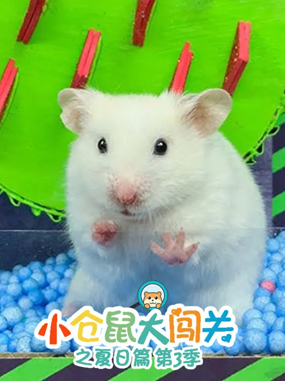小仓鼠大闯关之夏日篇 第3季动漫海报