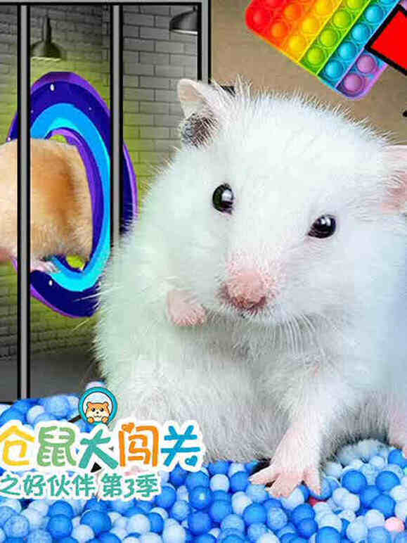小仓鼠大闯关之好伙伴 第3季