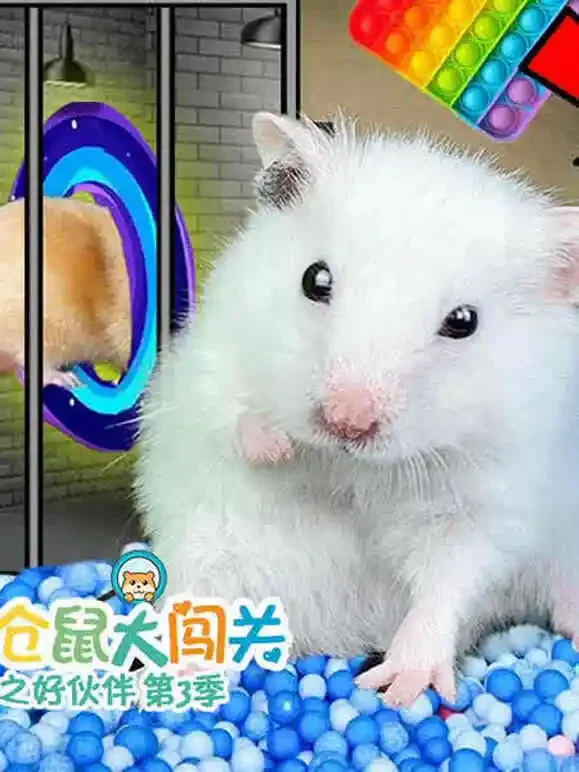 小仓鼠大闯关之好伙伴 第3季动漫海报