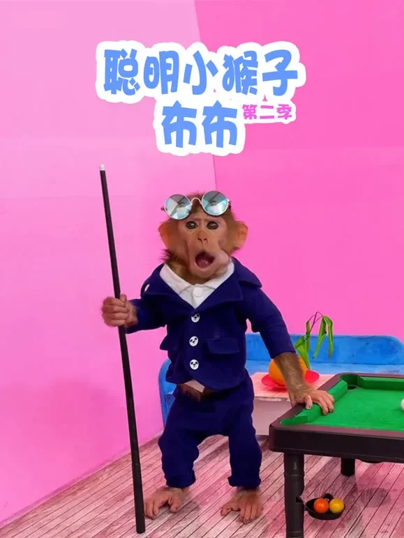 聪明小猴子布布 第2季动漫海报