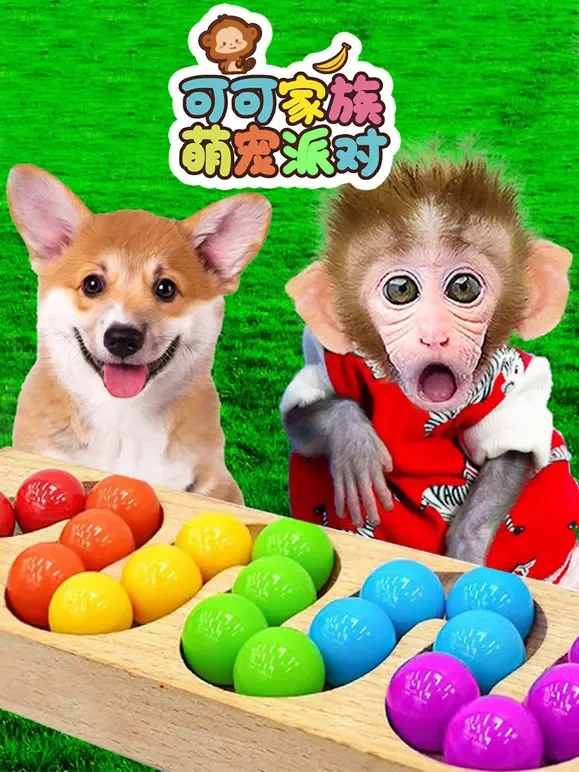 可可家族萌宠派对动漫海报