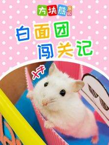 方块熊白面团闯关记