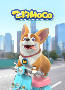 飞狗MOCO 第1季