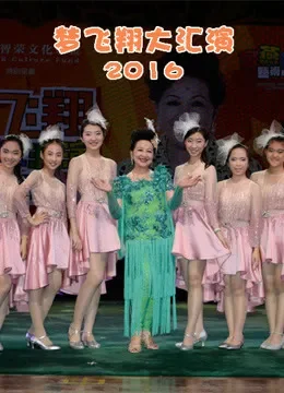 梦飞翔大汇演2016动漫海报
