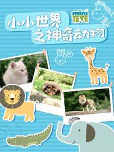 小小世界之神奇动物