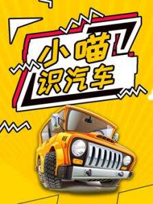 小喵识汽车