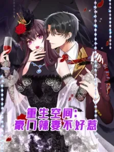 重生空间:豪门辣妻不好惹 动态漫画动漫海报