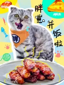 胖崽开饭啦动漫海报
