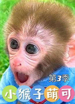 小猴子萌可 第3季