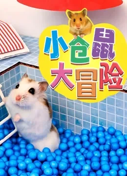 小仓鼠大冒险动漫海报
