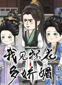 我见探花多娇媚动漫海报