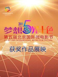 2015北京国际微电影节获奖作品展映