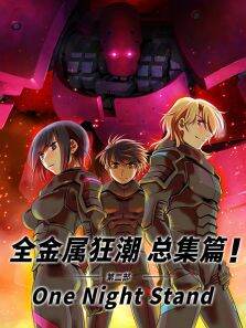 全金属狂潮总集篇:Onenightstand第2季