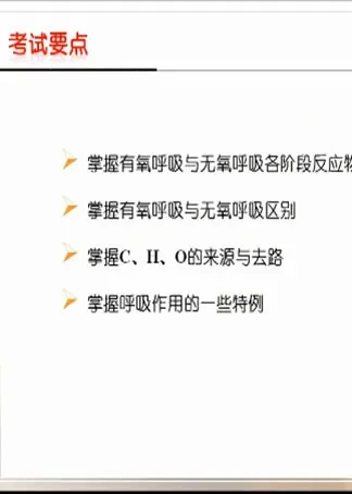 细胞代谢之细胞呼吸动漫海报