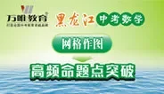 2016黑龙江中考数学 网格作图高频命题动漫海报