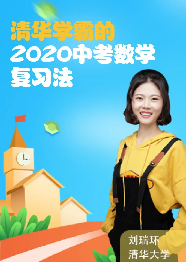 中考数学总复习3动漫海报