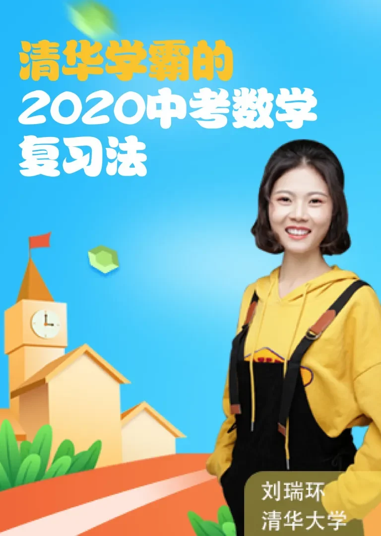 中考数学总复习2动漫海报