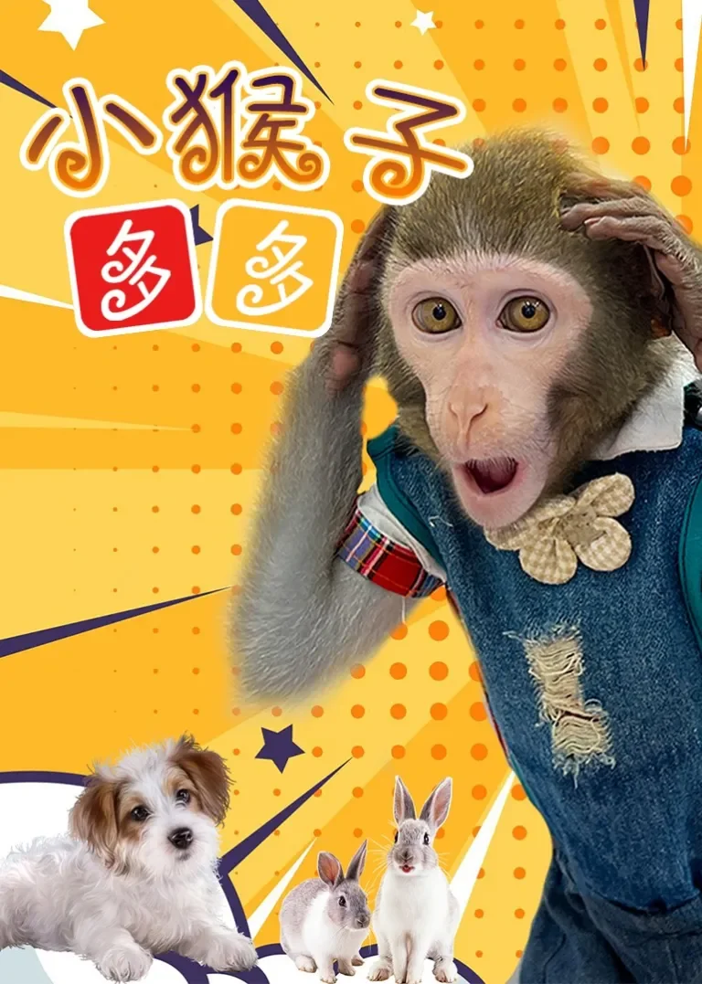 小猴子多多动漫海报