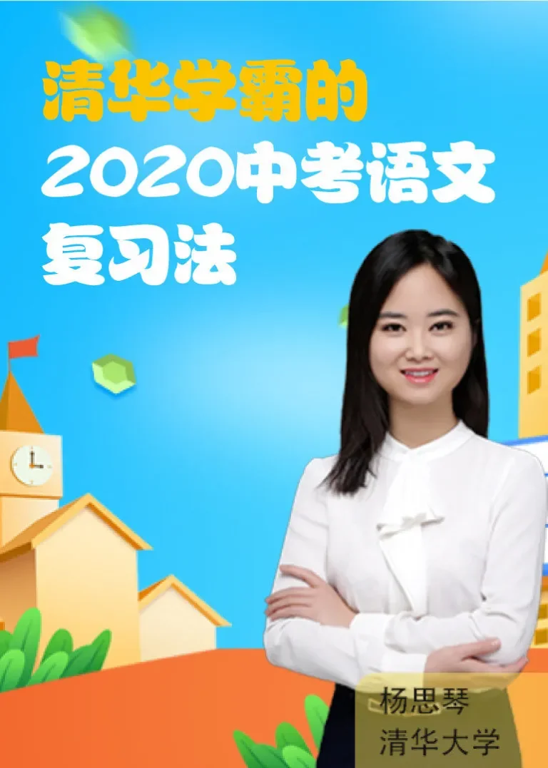 中考语文总复习4动漫海报
