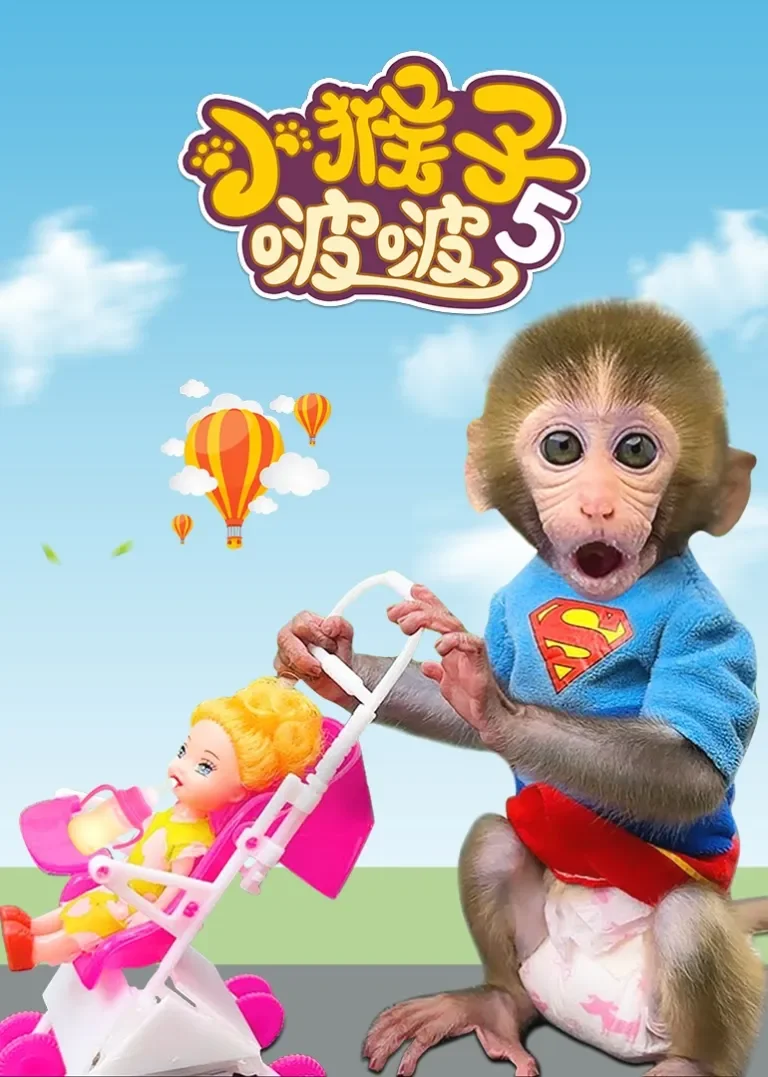 小猴子啵啵 第五季动漫海报