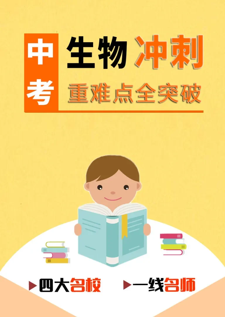 中考课程：生物（人教版）动漫海报