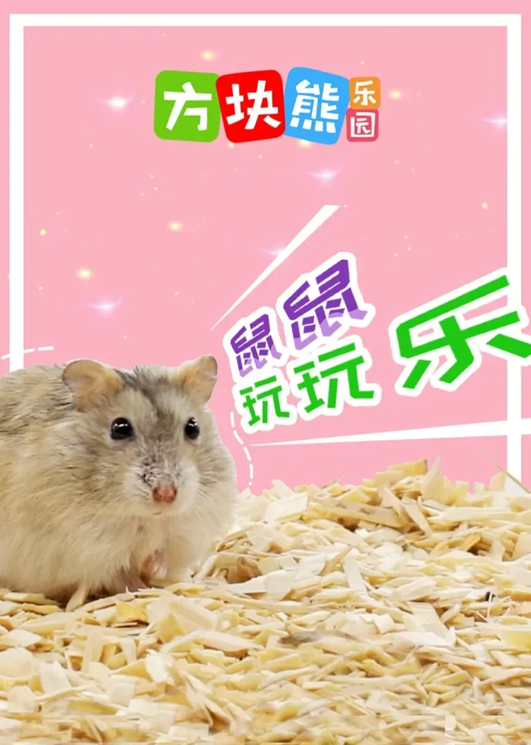 方块熊鼠仔玩玩乐动漫海报