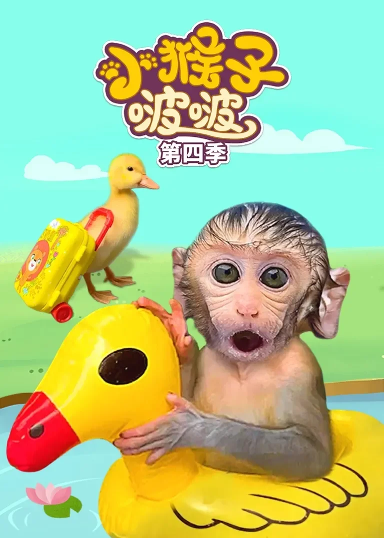小猴子啵啵 第四季动漫海报