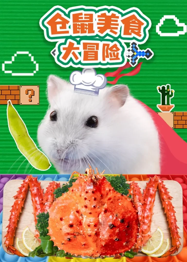 仓鼠美食大冒险动漫海报