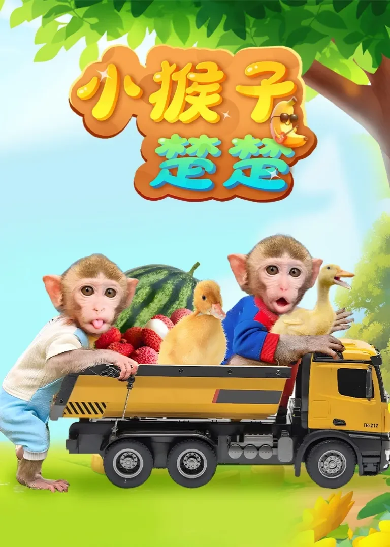小猴子楚楚动漫海报