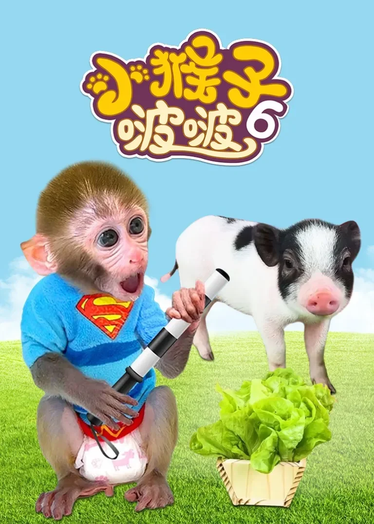 小猴子啵啵  第六季动漫海报
