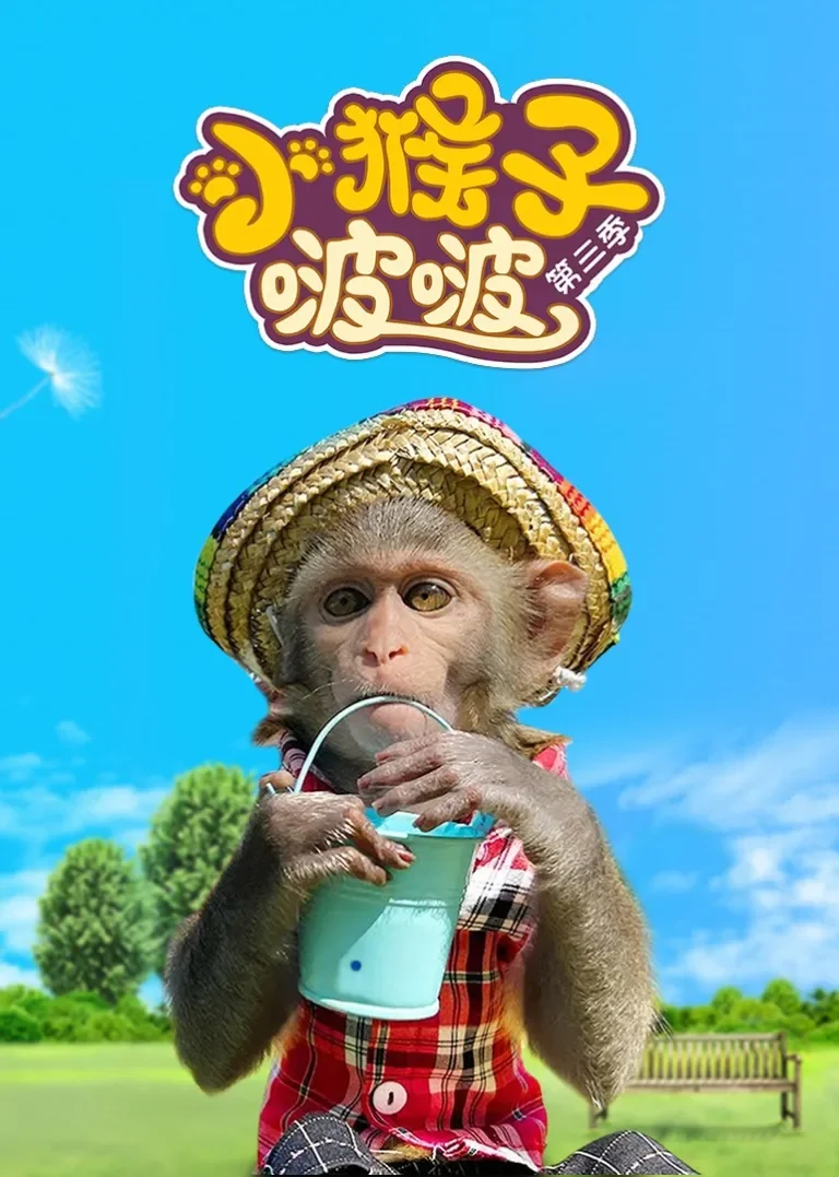 小猴子啵啵 第三季动漫海报