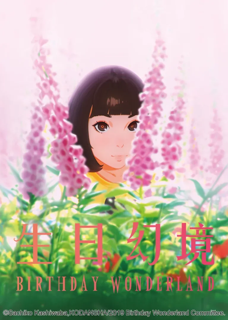 生日幻境动漫海报