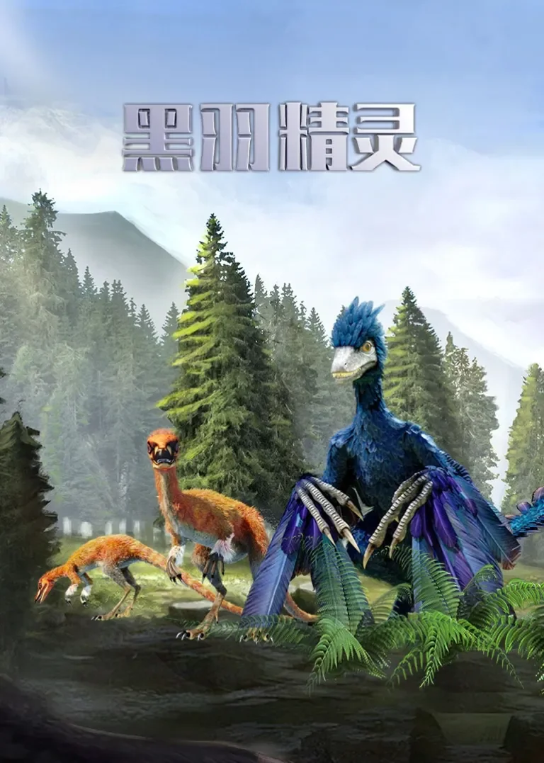 黑羽精灵动漫海报