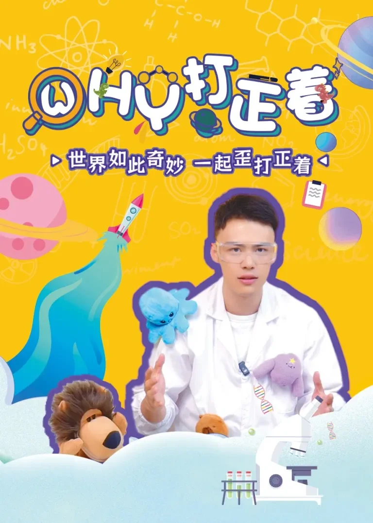 WHY打正着动漫海报