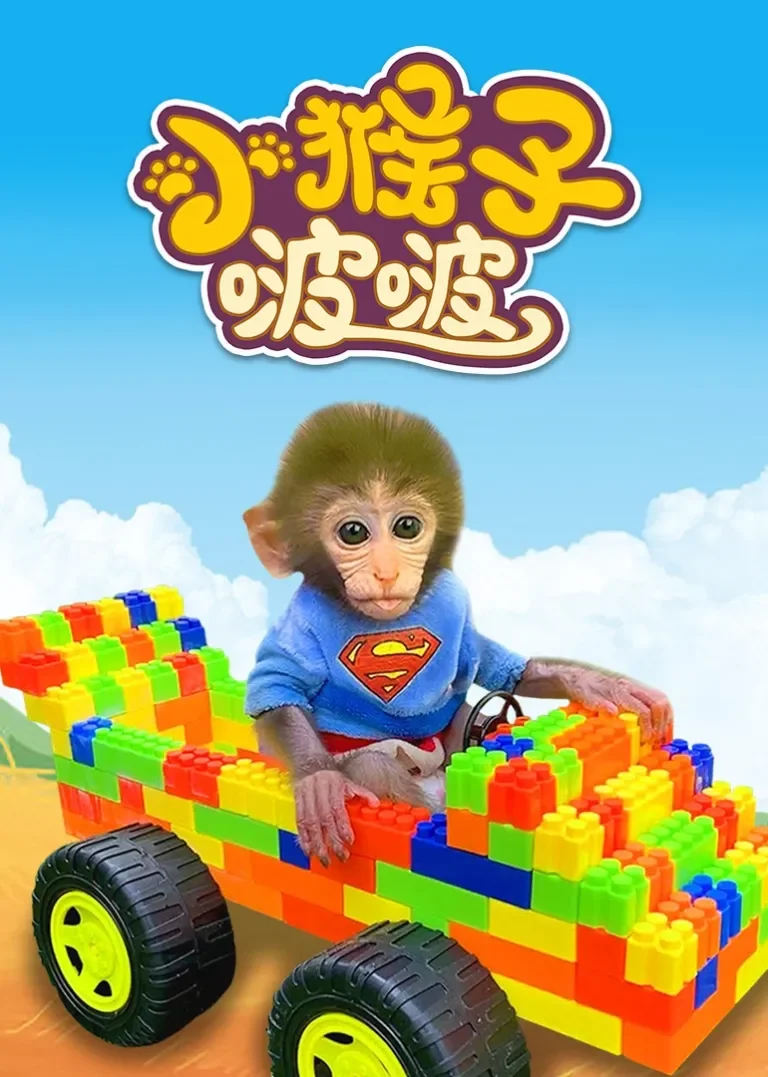 小猴子啵啵动漫海报