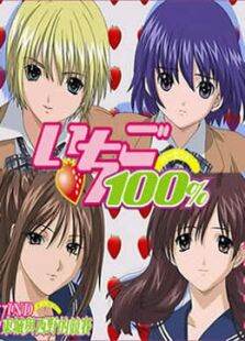 草莓100OVA
