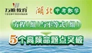 2016湖北中考数学　方程（组）与不等式动漫海报