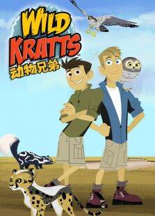 动物兄弟第3季
