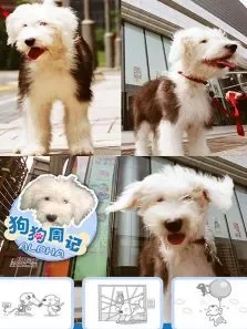 狗狗周记动漫海报